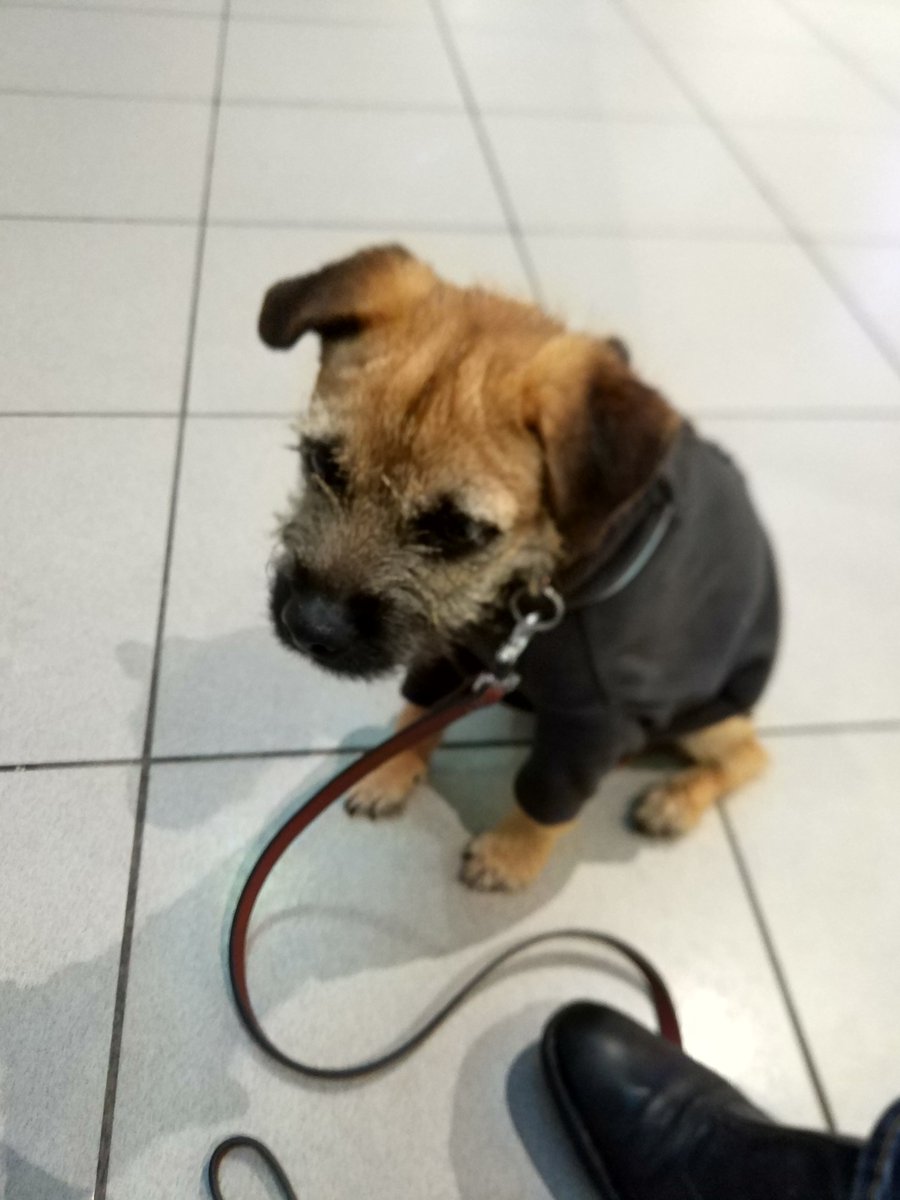 Bracken_the_BT's tweet photo. Stage 4: Lanyon St Belfast, waitin for the Enterprise.  Fanks (*cough* *splutter*) Edwin P For the paper-free entry into NI.  #borderraid #btposse https://t.co/A6FJt9j1vR