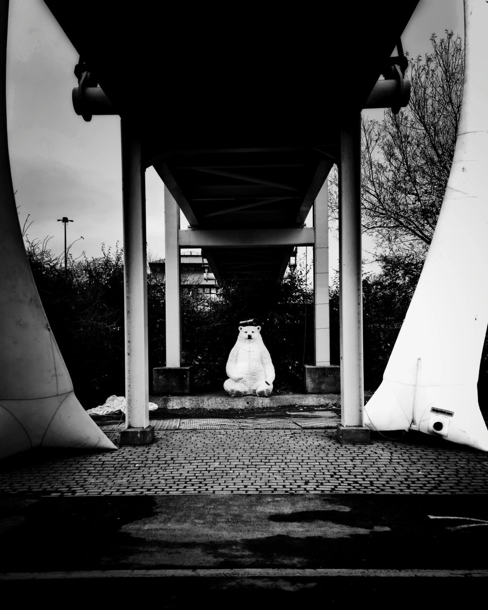 CWFineArt's tweet photo. Must be cold near Meadowhall.
.
.
.
.
.
#colourblindphotography #Sheffield #meadowhall #Christmas #blackandwhitephotography https://t.co/PZJvGVbl9Y