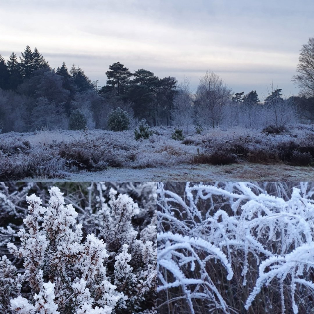 LexKnoops's tweet photo. Puur genieten van een winterse dag. https://t.co/rY5CcPYFWR