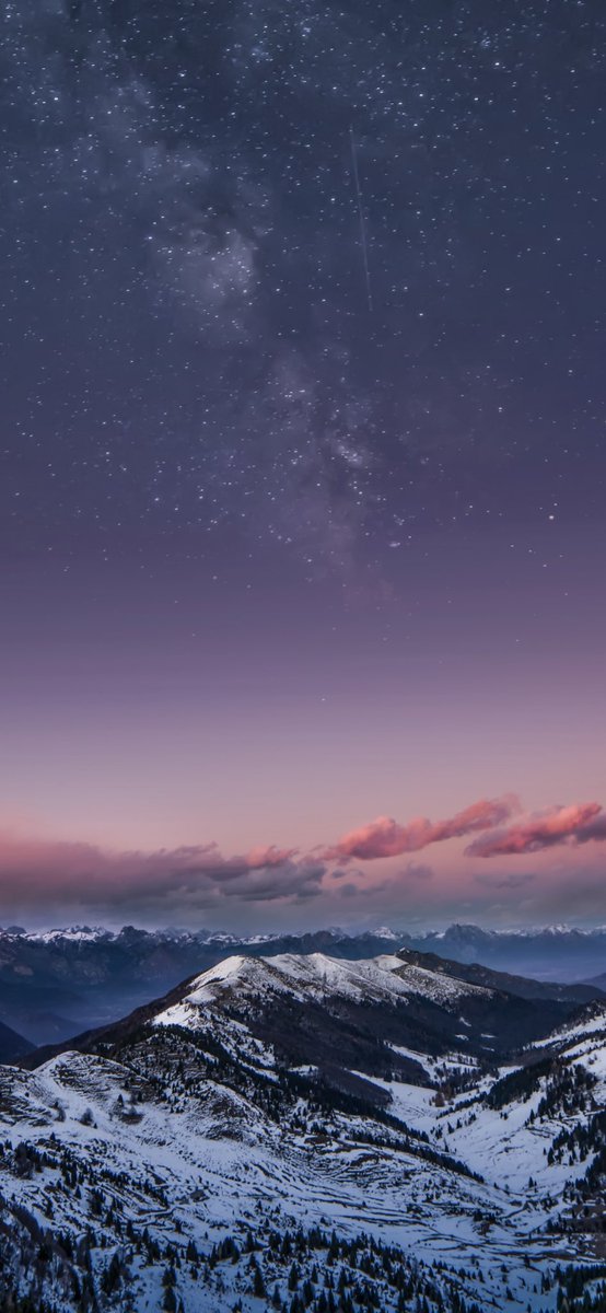 VixuaI's tweet photo. https://t.co/rHwfMRZQZ8