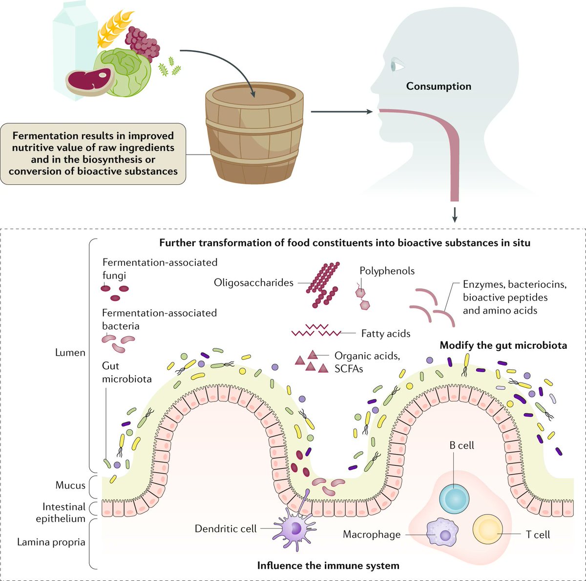 Best of 2021 - ALTMETRICS 

No.1 is this <a href="/ISAPPscience/">ISAPP</a> CONSENSUS STATEMENT on the definition of fermented foods 
go.nature.com/2LucjpB

#microbiome #microbiota