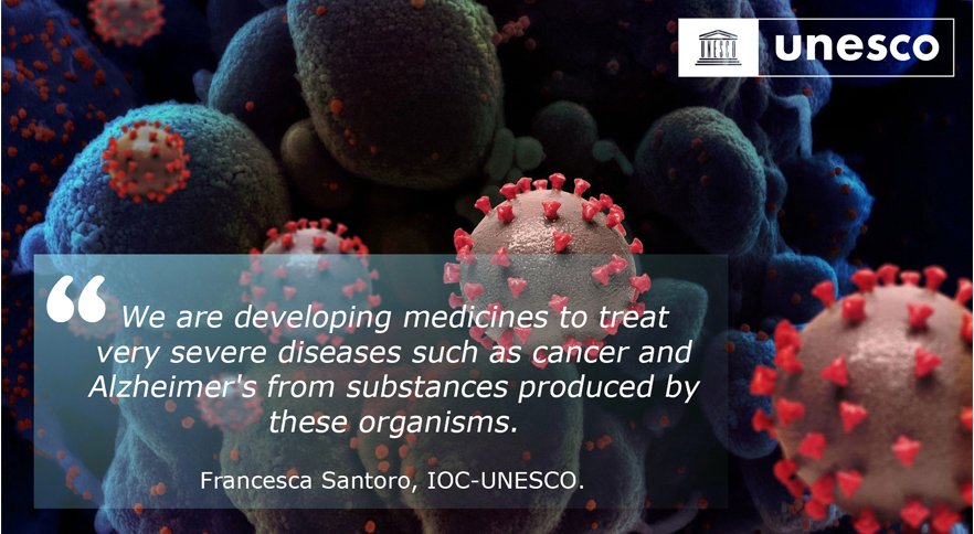 UNESCOVenice's tweet photo. The ocean is a large #pharmacy open to us all! Francesca Santoro @IocUnesco
explained the critical role of the #ocean and #MarineEcosystems also in the development of medicines to cure severe diseases.
📽️https://t.co/2HmTVHJ1F5 🌍🌊https://t.co/EC5FyOZm4J
#NGF21 #OceanLiteracy https://t.co/EJGAjoUHiS