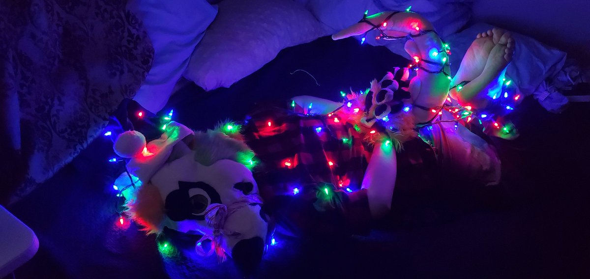 FeetBayou's tweet photo. 1/2: Tis the season, can't stop by when theres spare lights layin around  #bondage #feet #malefeet #hogtie #christmaslights #barefeet https://t.co/vET7h80fHr