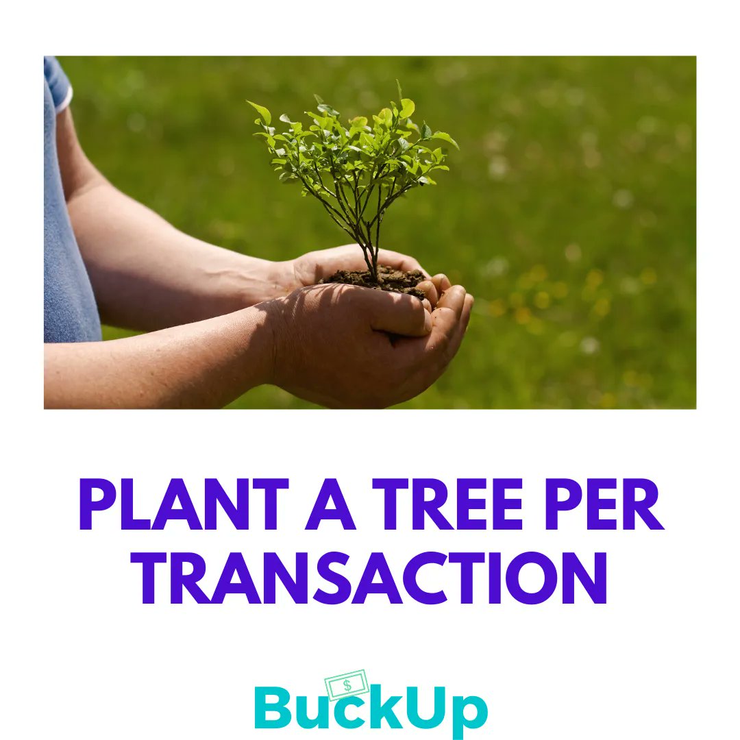 We plantin' treessssss 🌲