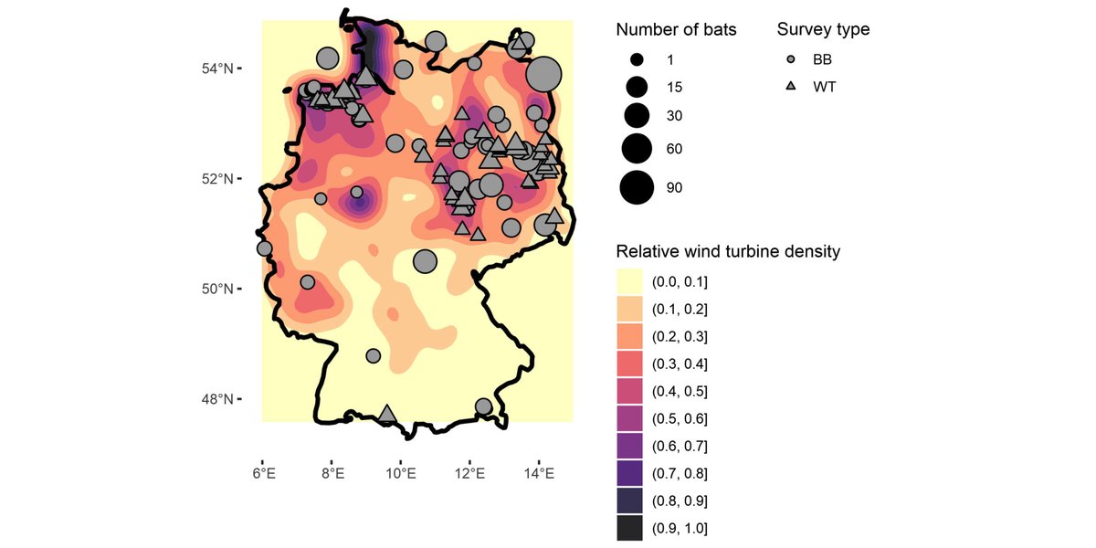 ESAApplications's tweet photo. New & #OpenAccess in @ESAApplications:
High vulnerability of juvenile Nathusius’ pipistrelle bats (Pipistrellus nathusii) at wind turbines
https://t.co/h5VieBsOZo
With #OpenData in @ZENODO_ORG
#BatMigration #BatCon #BatConservation #BCI #StableIsotopes https://t.co/u5pw8NSwuL