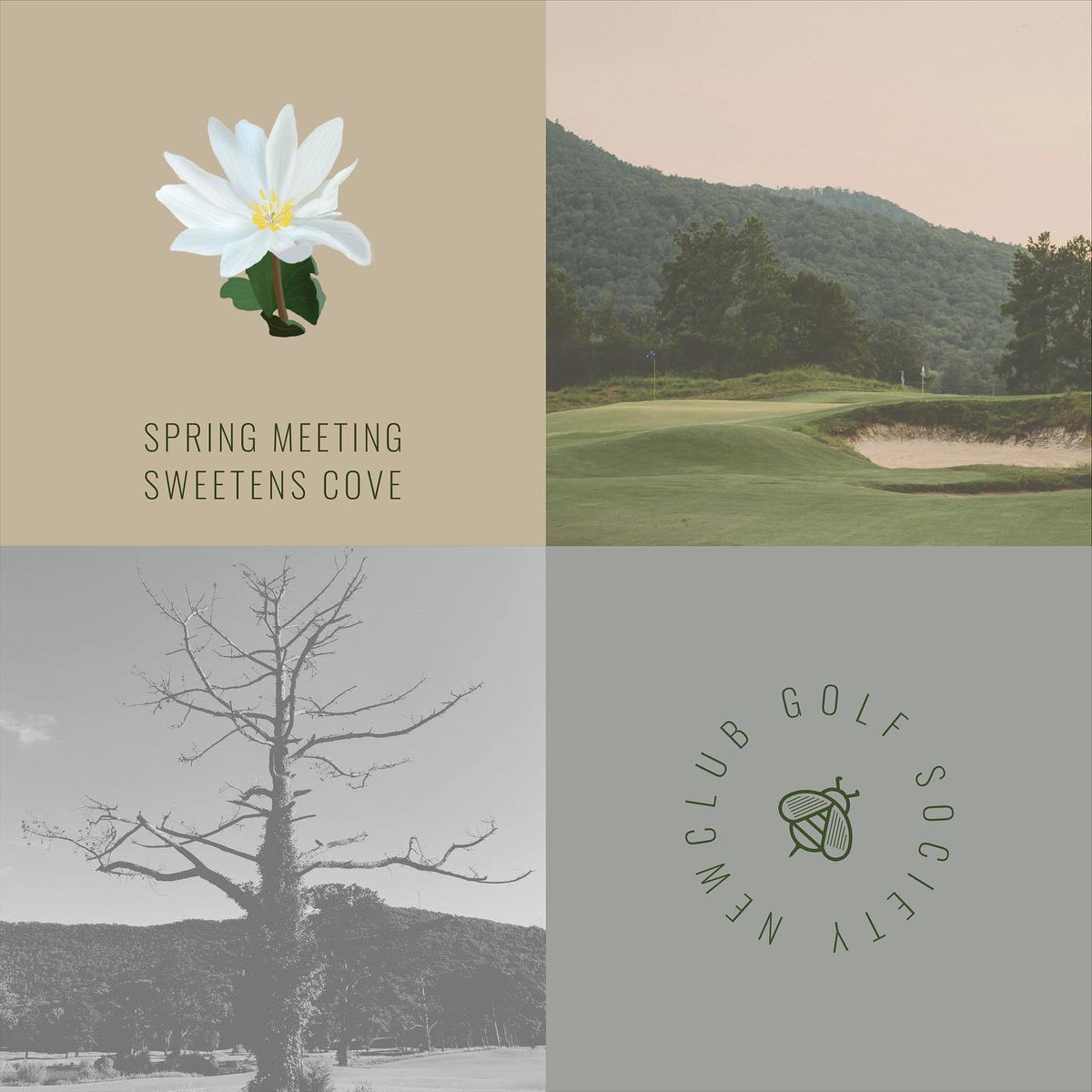 newclubgolf's tweet photo. Registration for the first of five Society Fixtures begins this afternoon at 5pmEST/4pmCST with the 2022 Spring Meeting at @SweetensCove. Additional registration dates, along with ‘NewClub Getaways’ and local Chapter events will be announced in the new year #playandpollinate https://t.co/WzqyBlBOjg