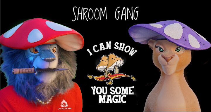 cryptoanapara's tweet photo. Because of lioness week, I can show you some magic. Are you ready to fly on December 28? @JungleCatsIO #junglecat #GROAR #JCmeme #lionessweek #shrooms https://t.co/yxz8dML5pq