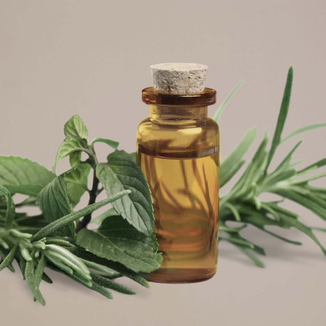 EuropeanSpaEdm's tweet photo. Myrrh, peppermint, juniper berry, and pine are just a few of our favourite essential oils during the winter season. 

Interested in adding a few drops to your service? Let us know before we start and we’ll let you know what we have in stock! #yeg #yegspa https://t.co/SFoWH1CHxw