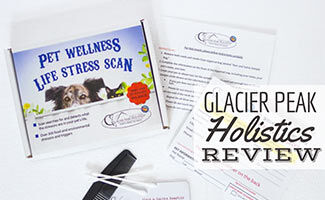 Canine Journal tweet media