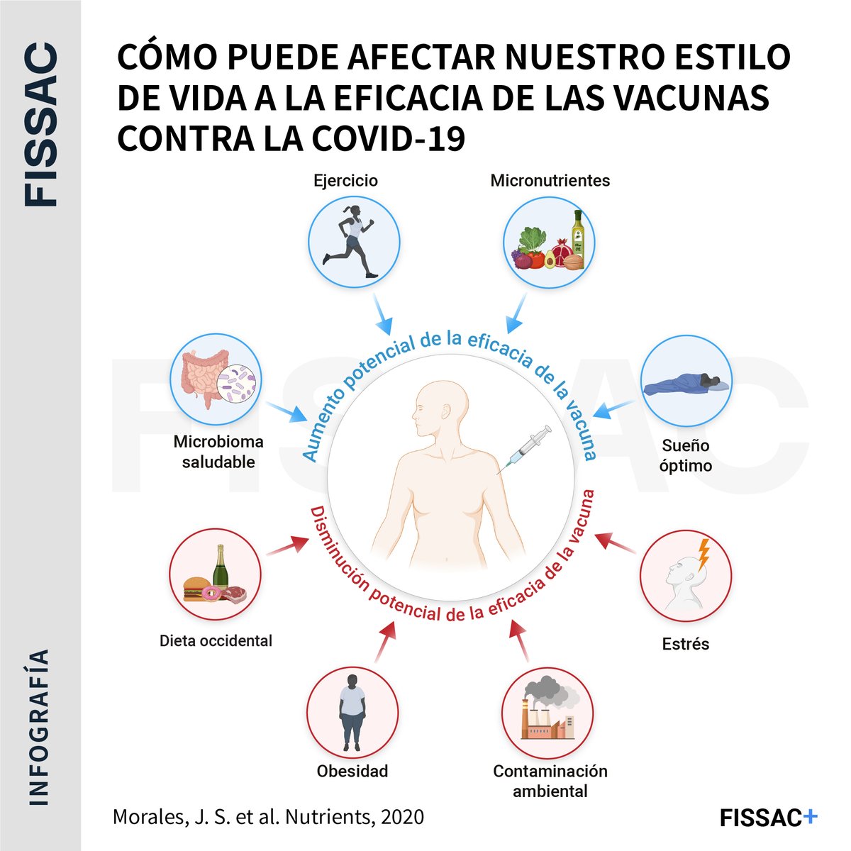 Fissac_es's tweet photo. 🔬🚀Nuevo artículo de Fissac

👉En colaboración con expertos como Alejandro Lucía, @pmcbastos, @javierbutra o @JimenezPavonD analizamos el rol de diferentes componentes del exposoma en la prevención primaria o secundaria del COVID-19

Enlace al original 👇
https://t.co/TaySN6tSsw https://t.co/4ahOEeRNso