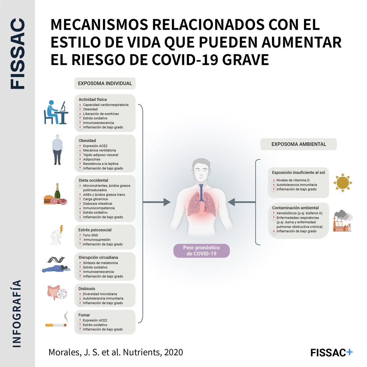 Fissac_es's tweet photo. 🔬🚀Nuevo artículo de Fissac

👉En colaboración con expertos como Alejandro Lucía, @pmcbastos, @javierbutra o @JimenezPavonD analizamos el rol de diferentes componentes del exposoma en la prevención primaria o secundaria del COVID-19

Enlace al original 👇
https://t.co/TaySN6tSsw https://t.co/4ahOEeRNso