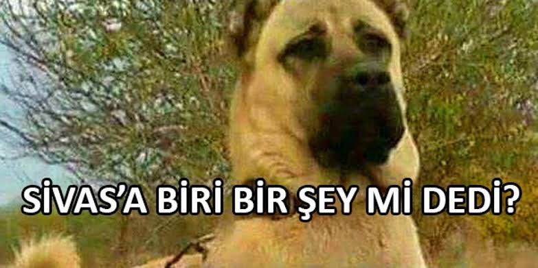 hasancelalates's tweet photo. @efektif31 https://t.co/5uqIA5KM1m