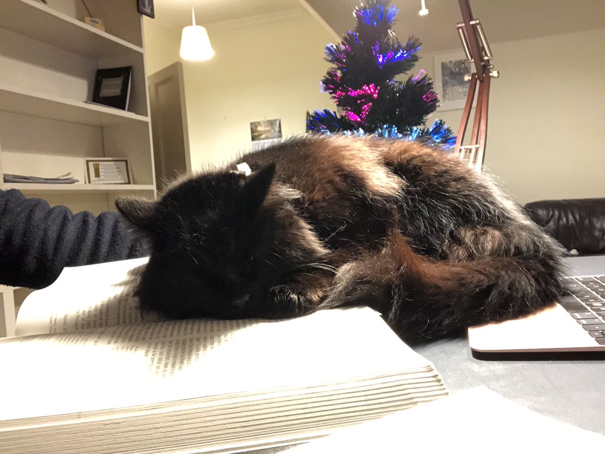 How is the Christmas Day sermon coming, I hear you ask. This is how: