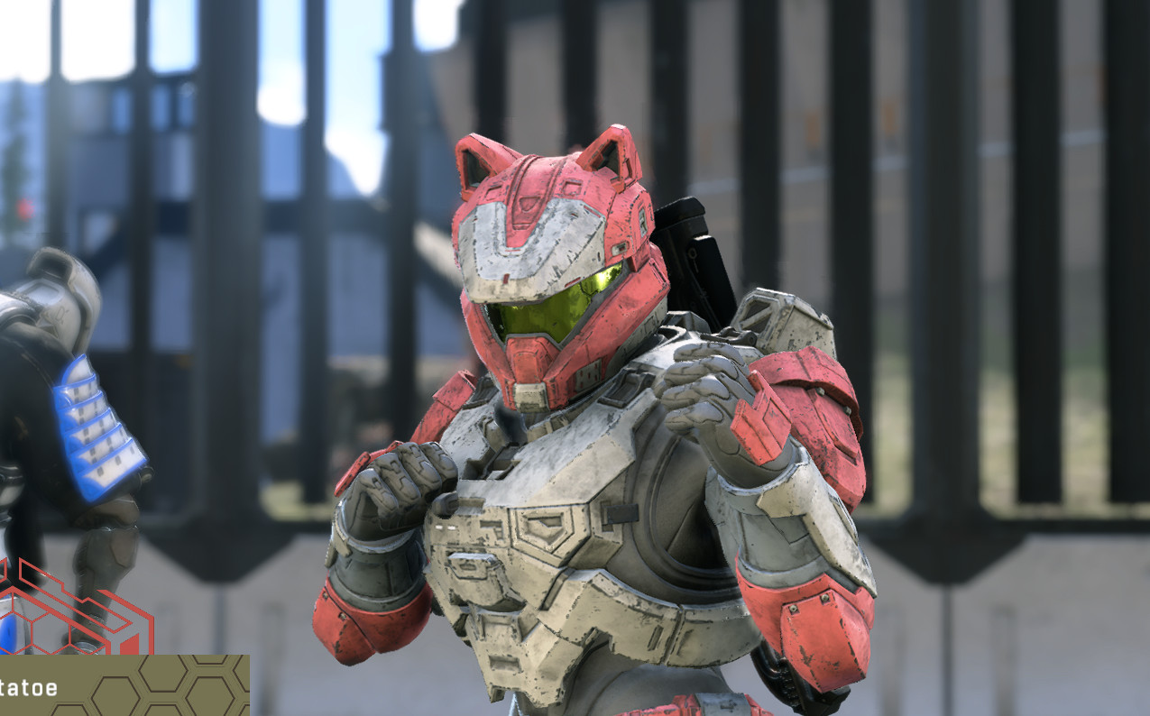 Halo infinite has catgirls - 9GAG