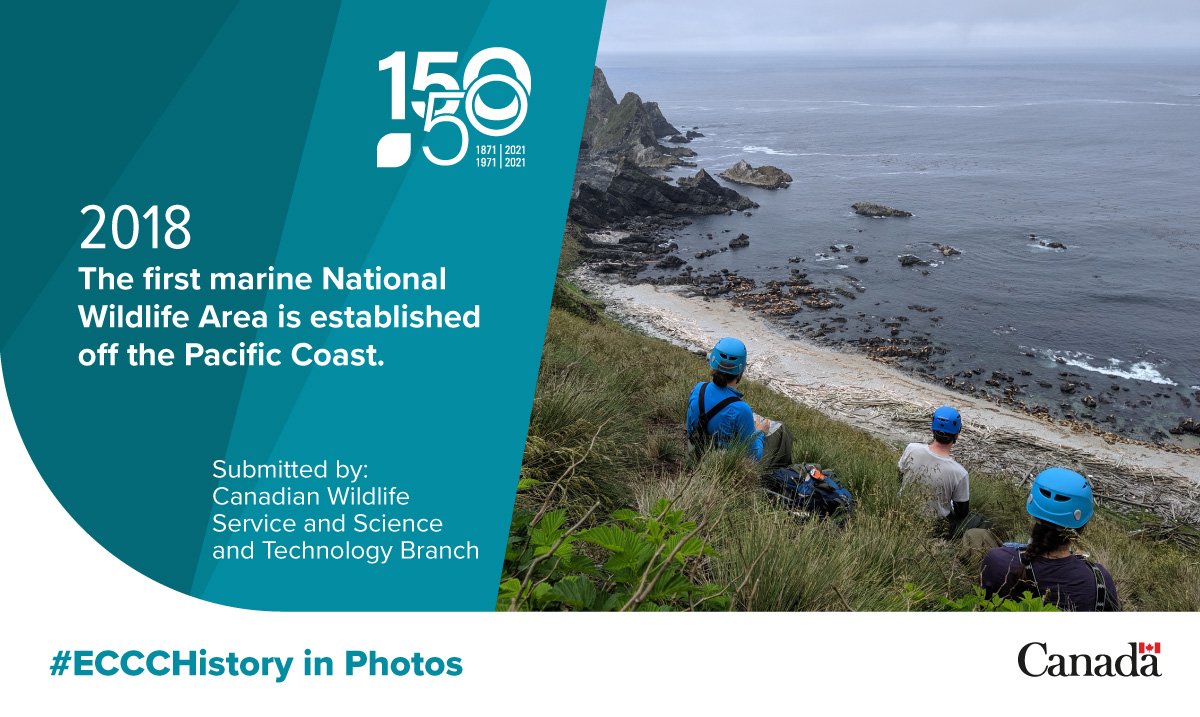 environmentca's tweet photo. The #ScottIslands area is a vital habitat for millions of #seabirds and #researchers.
Learn more about this unique place: https://t.co/BZD8mgcrhS
#ECCCFamily #ECCC50 #ECCCHistory https://t.co/vH8BfQYxhJ