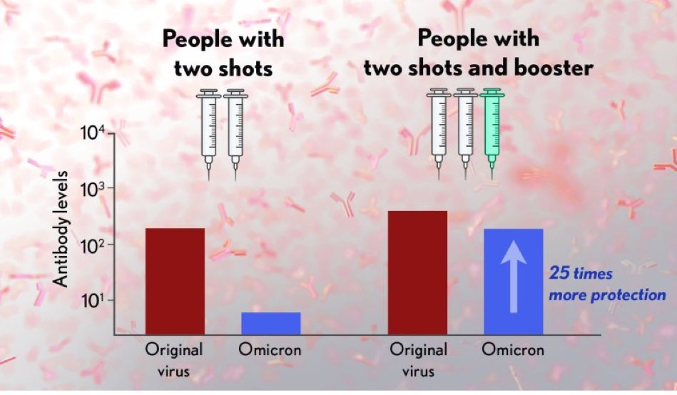 ms_ceal's tweet photo. Initial Studies Suggest Boosters Offer Increased Protection Against Omicron Variant https://t.co/4hjYvjs83T