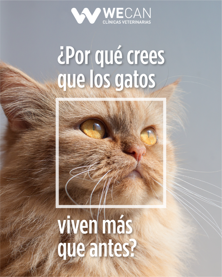 rivera_vet's tweet photo. https://t.co/R7WwaAu4EK