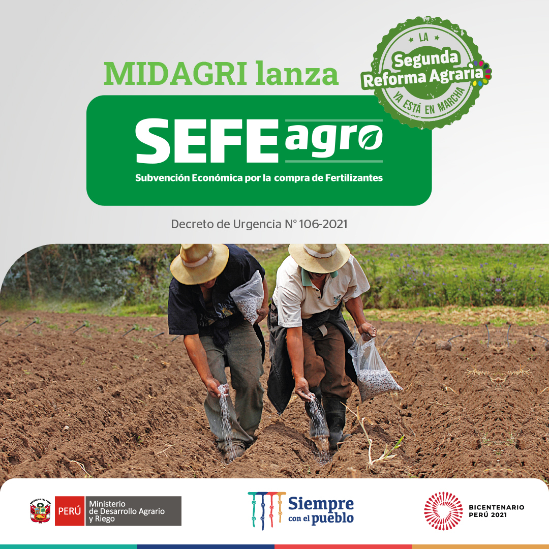 midagriperu's tweet image. 👩‍🌾 👨‍🌾 MIDAGRI inicia registro de quienes recibirán la Subvención Económica por la Compra de Fertilizantes - #SEFEagro.

✅ Aquí te contamos todo lo que debes saber de este apoyo económico que beneficiará a 300 000 pequeños productores de la #AgriculturaFamiliar. 💪