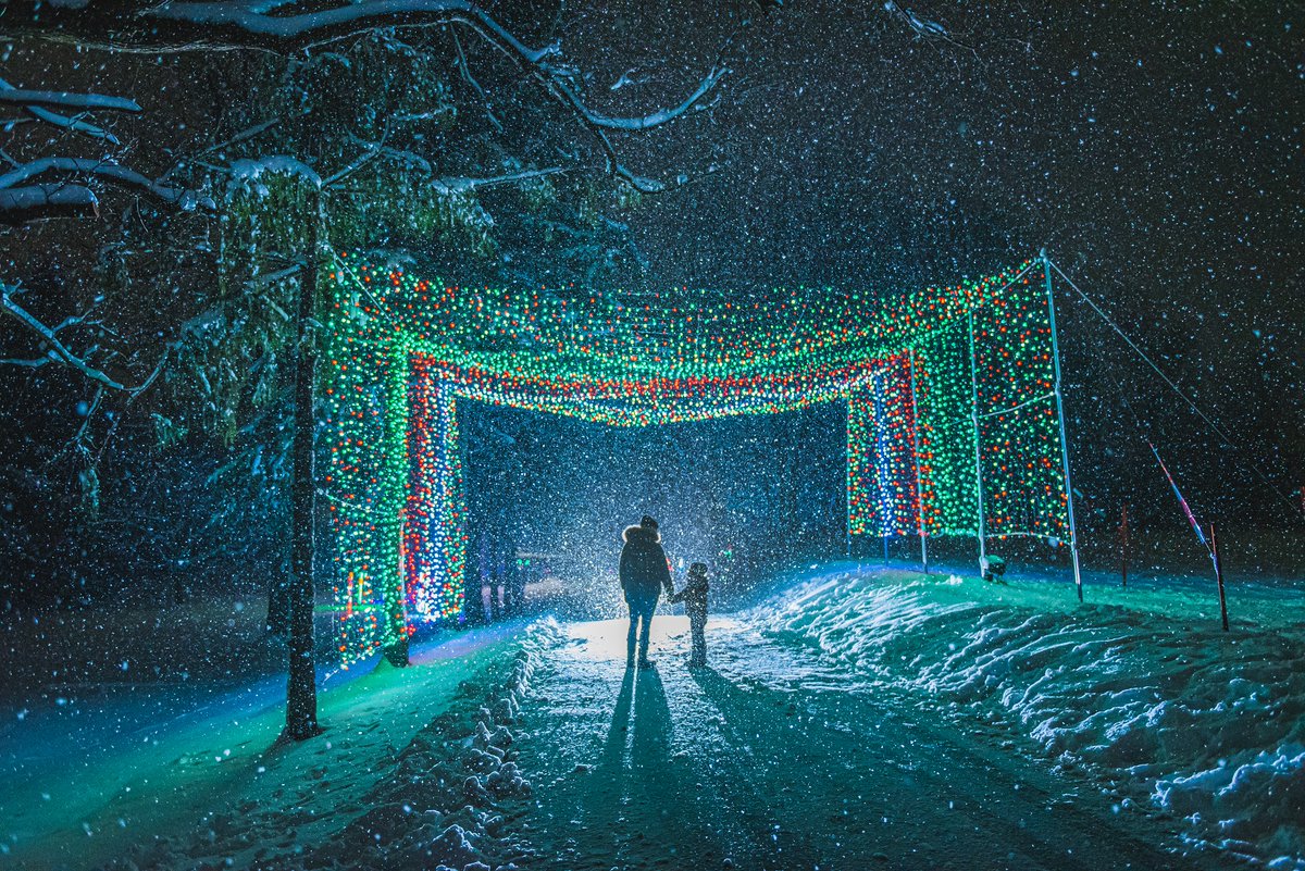 We hope you have a safe and joyful holiday season! Please note our offices are closed Dec.24-January 3rd.