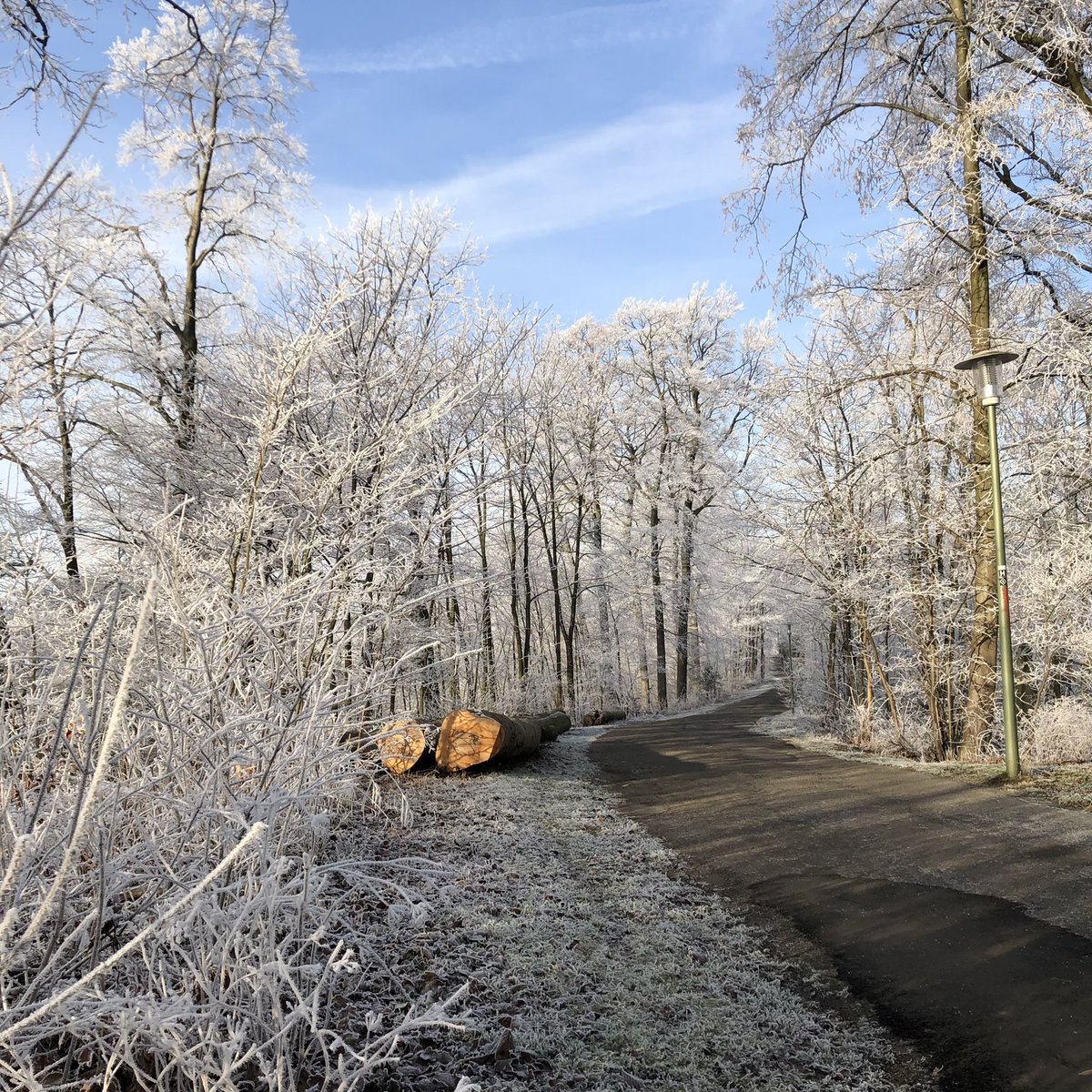 Bielefelder Winter Wonderland hat heute ein bisschen dabei geholfen, nicht allzu sehr im Loch der Coronanachrichten zu versinken. #Doomscrolling