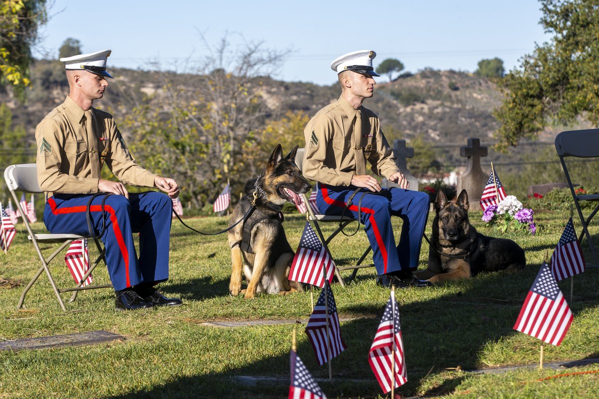 MCIWPendletonCA's tweet photo. Pendleton working dogs honor canines of the past

U.S. Marine military working dog handlers with the PMO on Camp Pendleton, wait during a wreath laying ceremony as part of Wreaths Across America at the Valley Center Cemetery in Valley Center, California, Dec. 18, 2021. https://t.co/zjsTN8pcIb