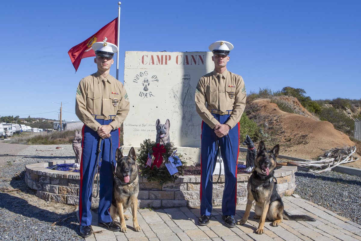 MCIWPendletonCA's tweet photo. Pendleton working dogs honor canines of the past

U.S. Marine military working dog handlers with the PMO on Camp Pendleton, wait during a wreath laying ceremony as part of Wreaths Across America at the Valley Center Cemetery in Valley Center, California, Dec. 18, 2021. https://t.co/zjsTN8pcIb