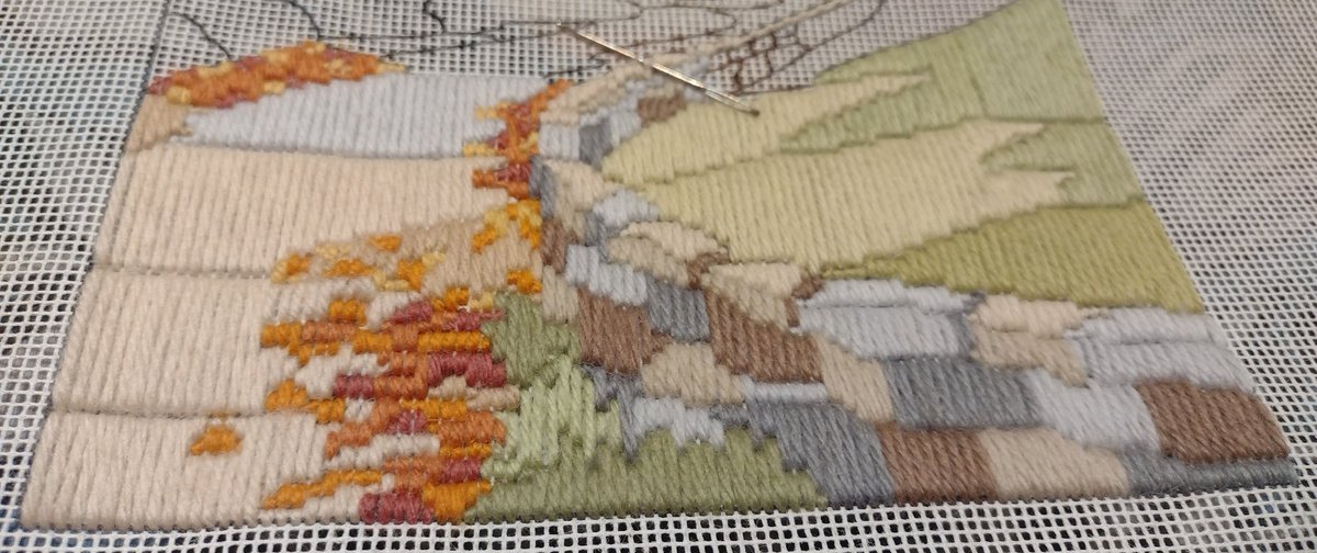 WonkyTortoise7's tweet photo. I adore the effect that is seen on long stitch, but I've been doing this all day and I'm not even half way through #longstitch #longstitchtakestoolong https://t.co/IYzw3IzpPF