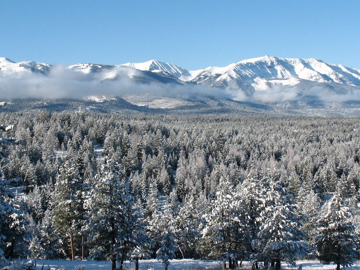 ForestServiceNW's tweet photo. "Going to the mountains is going home." 

--John Muir

#WednesdayWisdom https://t.co/HgcgB1UJfG