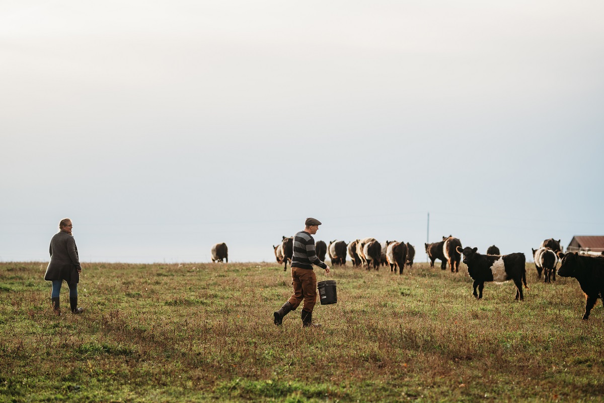 Do you have a carnivorous side? Grab it in #OxfordCounty! Here's a list of #OxfordFresh meat producers: bit.ly/3eiSfSh