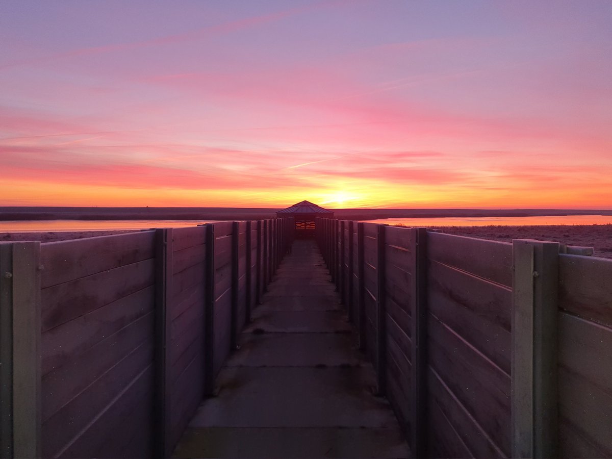 Silvan Puijman (@develdwachtert) on Twitter photo Fraaie, frisse zonsopkomst in polder Breebaart vanmorgen <a href="/GR_Landschap/">Het Groninger Landschap</a> <a href="/BtpReidehoeve/">HGL_Dollard</a> <a href="/EemsDollard2050/">Eems-Dollard 2050</a> Fraaie, frisse zonsopkomst in polder Breebaart vanmorgen <a href="/GR_Landschap/">Het Groninger Landschap</a> <a href="/BtpReidehoeve/">HGL_Dollard</a> <a href="/EemsDollard2050/">Eems-Dollard 2050</a>