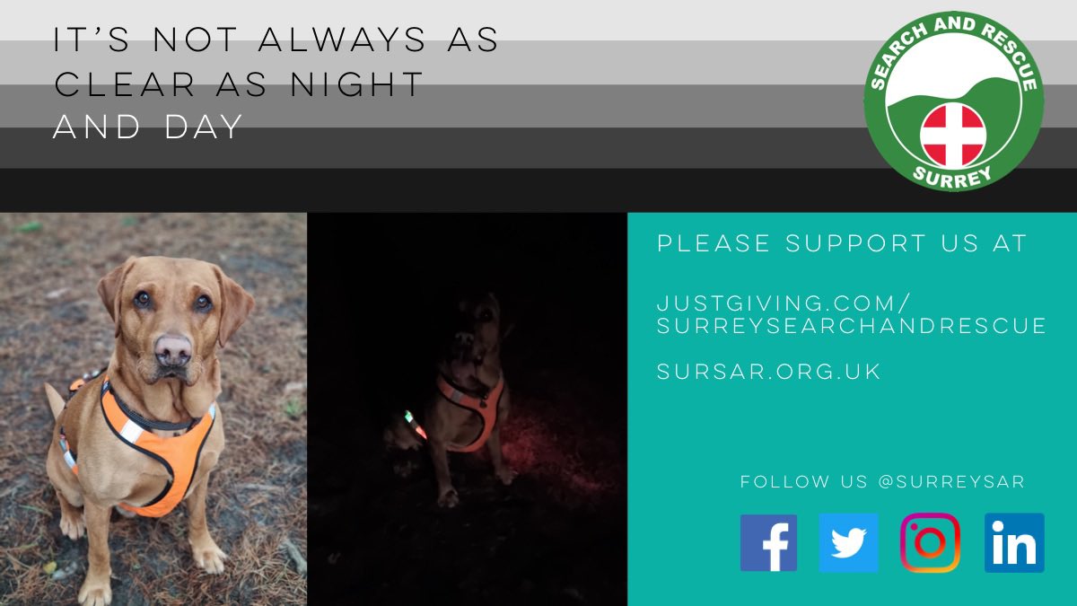 SurreySAR's tweet photo. It can be dark for many. Our #DogTeam need your help. We need light collars to track dogs at night. We need to raise £590 for the team. Can you donate £5 🧡 
#HopeBeginsInTheDarkness 

https://t.co/oQI2FUDPlA https://t.co/hZRvh3woJT