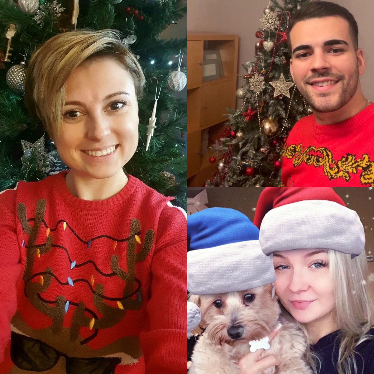 HIAwards's tweet photo. We are getting into the #festive spirit with our sponsors and installers! 🎄 

Who looks best? Is it @ThornhillPlumb, the Christmas pups, @conceptph1 or the @Stelrad team? Reply with your vote below 👇

#heating #installers #HuwIsTheNewSanta https://t.co/MHJk340Lvz