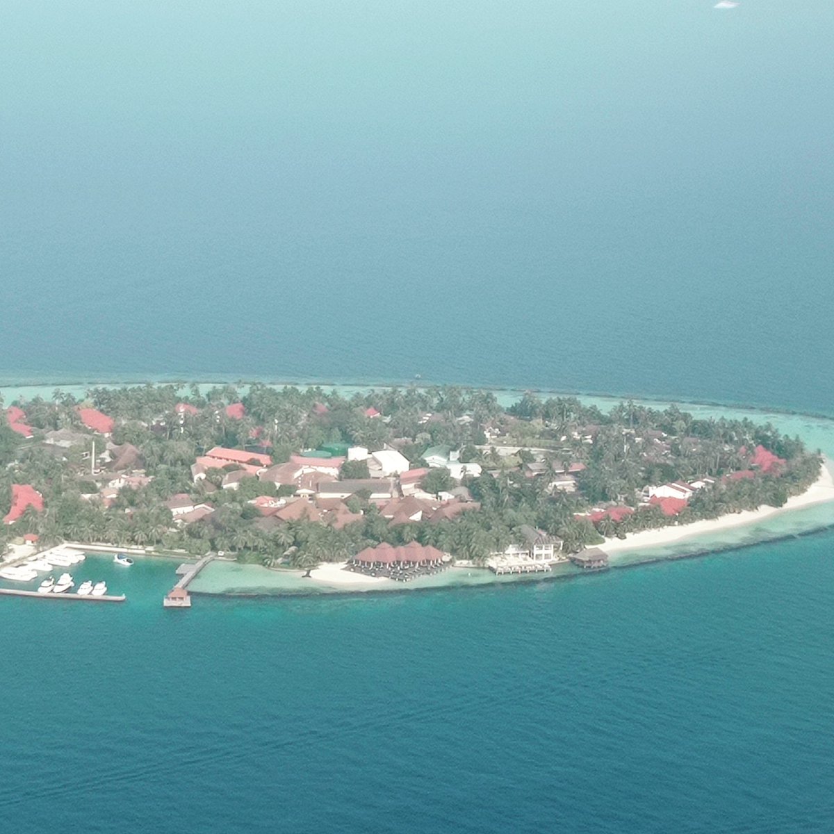 veshisaafu's tweet photo. In some ocean basins, sea level has risen as much as 6-8 inches (15-20 centimeters) since the start of the satellite record. #maldivesislands #maldives #sealevelrise #sinkingislands #climatechangeisreal https://t.co/PfZ9zZJCjt