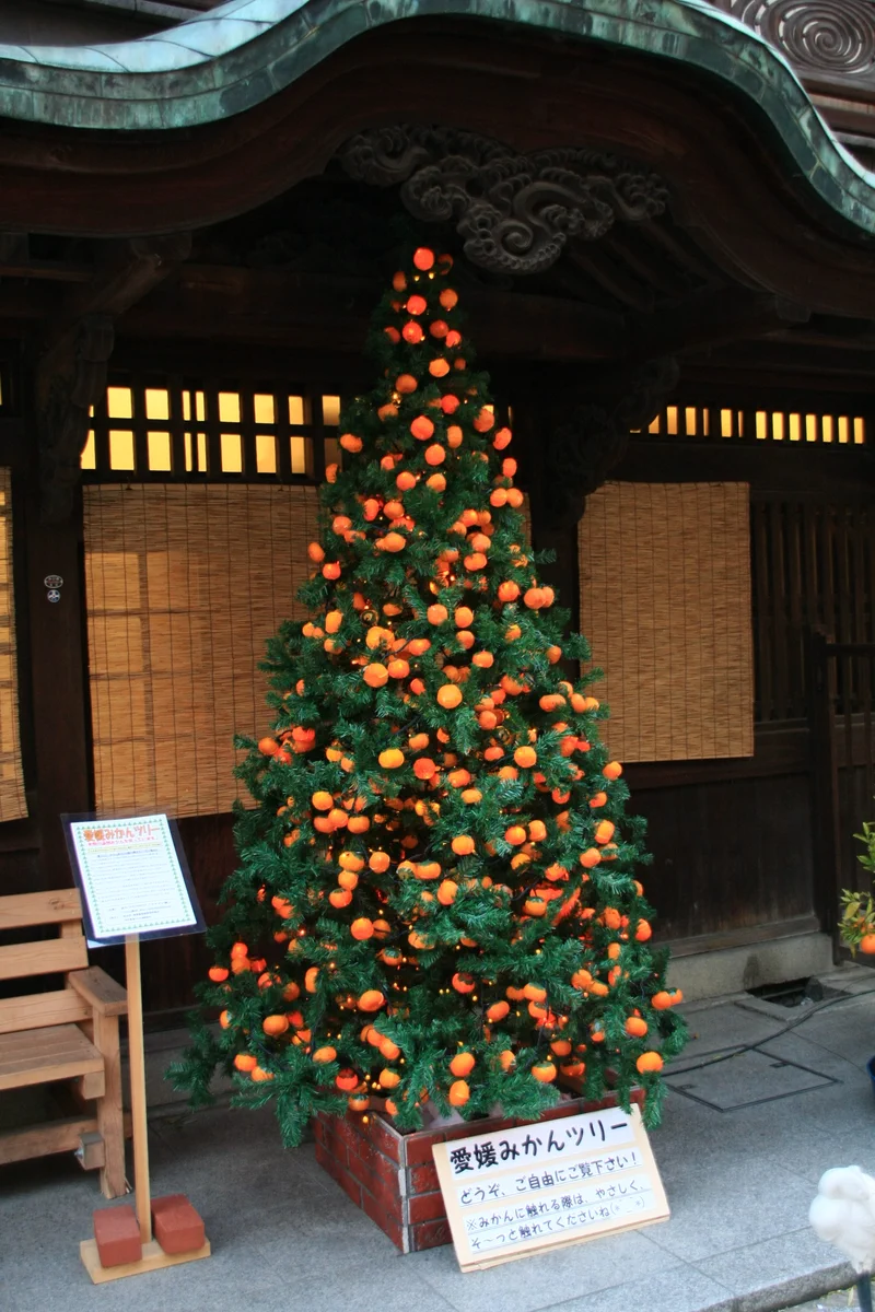愛媛ならでは？愛媛のクリスマスツリーはみかんで出来ている！