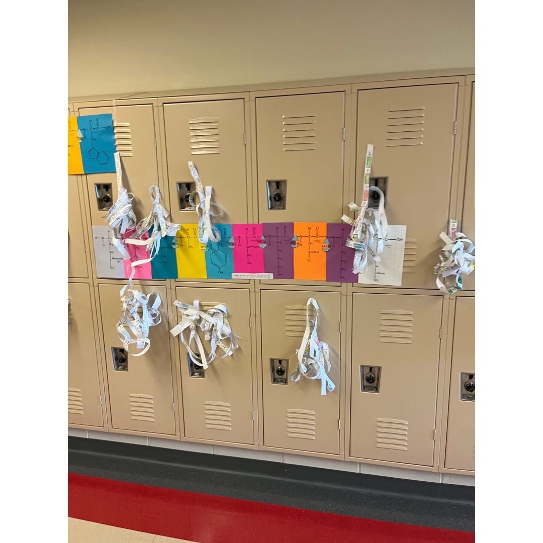 Harriton_HS's tweet photo. Proteins & lipids & carbs, oh my!
Take a stroll down the biology hallway to check out the macromolecules built by Mrs. Kiley's 9th grade biology students. They're a great way to learn basic polymer formation!
#HarritonRams #hhsrams https://t.co/LpEzLrOpJF
