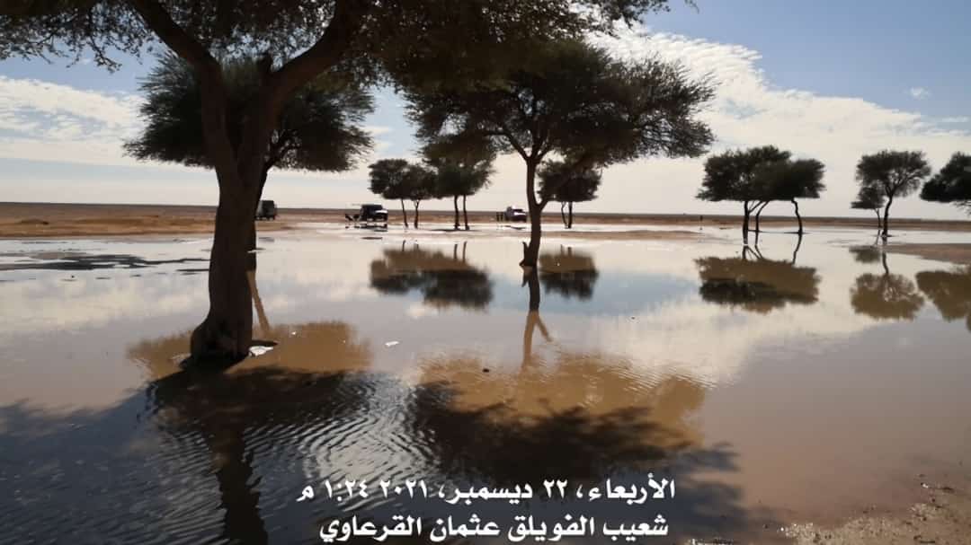 tqqs's tweet photo. 📍بالصور 
اثار السيل في الشعاب بين قبة و الزبيرة شمال شرق #القصيم
الأربعاء ١٨ جمادى الأولى١٤٤٣هـ
22 ديسمبر 2021 م
عدسة | عثمان القرعاوي
.
. https://t.co/NodahYibLG