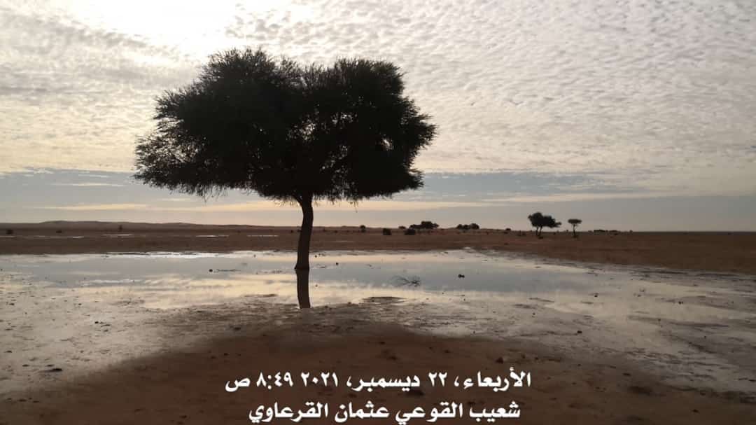 tqqs's tweet photo. 📍بالصور 
اثار السيل في الشعاب بين قبة و الزبيرة شمال شرق #القصيم
الأربعاء ١٨ جمادى الأولى١٤٤٣هـ
22 ديسمبر 2021 م
عدسة | عثمان القرعاوي
.
. https://t.co/NodahYibLG