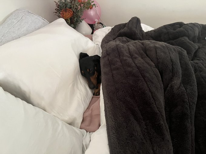 Happy hump day from Mr. Martin 😁 Hope you get the chance to take it easy today (: https://t.co/4Li5D<a href="/tag/gapeninjas"class="tags"><span>#gapeninjas</span></a>