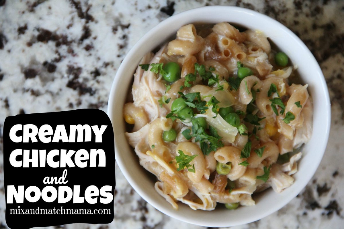 Creamy Chicken & Noodles In The Slow Cooker Recipe
