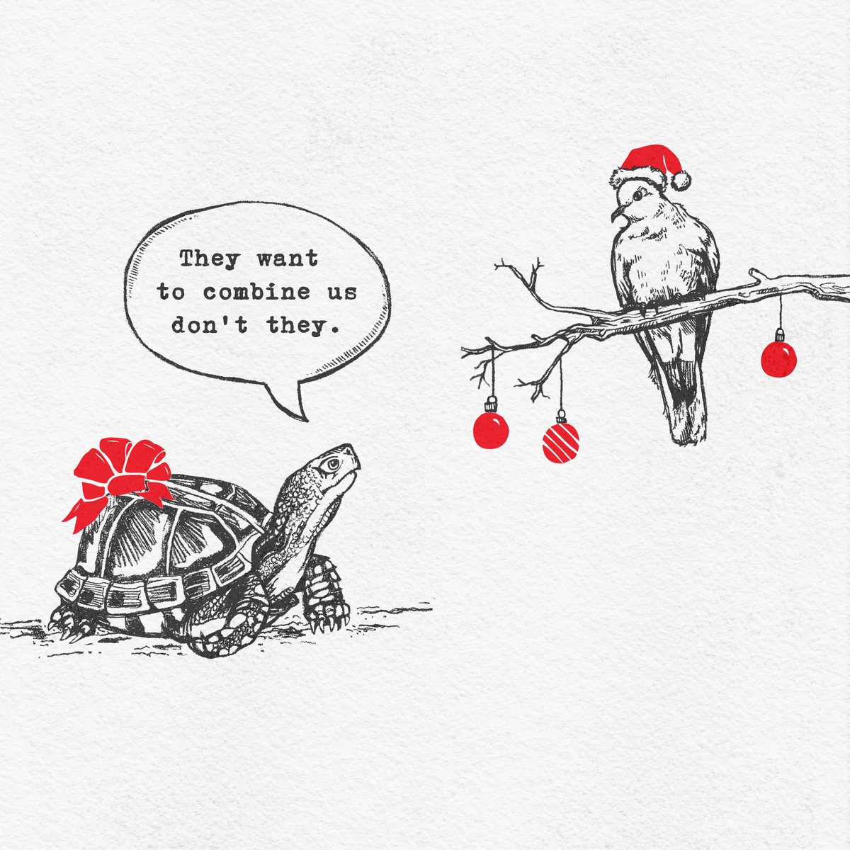 Drake Cooper tweet media