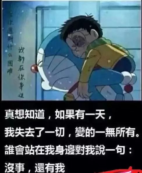 BetsSvp's tweet photo. 创业失败就去南方，那边好多喜欢熊的猴子😂东北小城市都试熊熊，好烦躁😂 https://t.co/U6gg4rF4lw