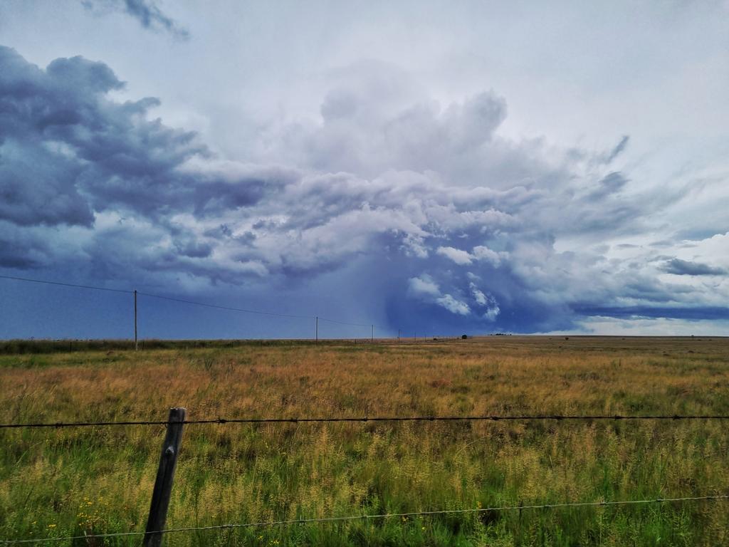 RoryDuncan1966's tweet image. The storms across the Freestate have been immense. Today we drove from Wepener to Ficksburg and returned home a few moments ago. I took this at the farm gate. Grandeur on an epic African scale.