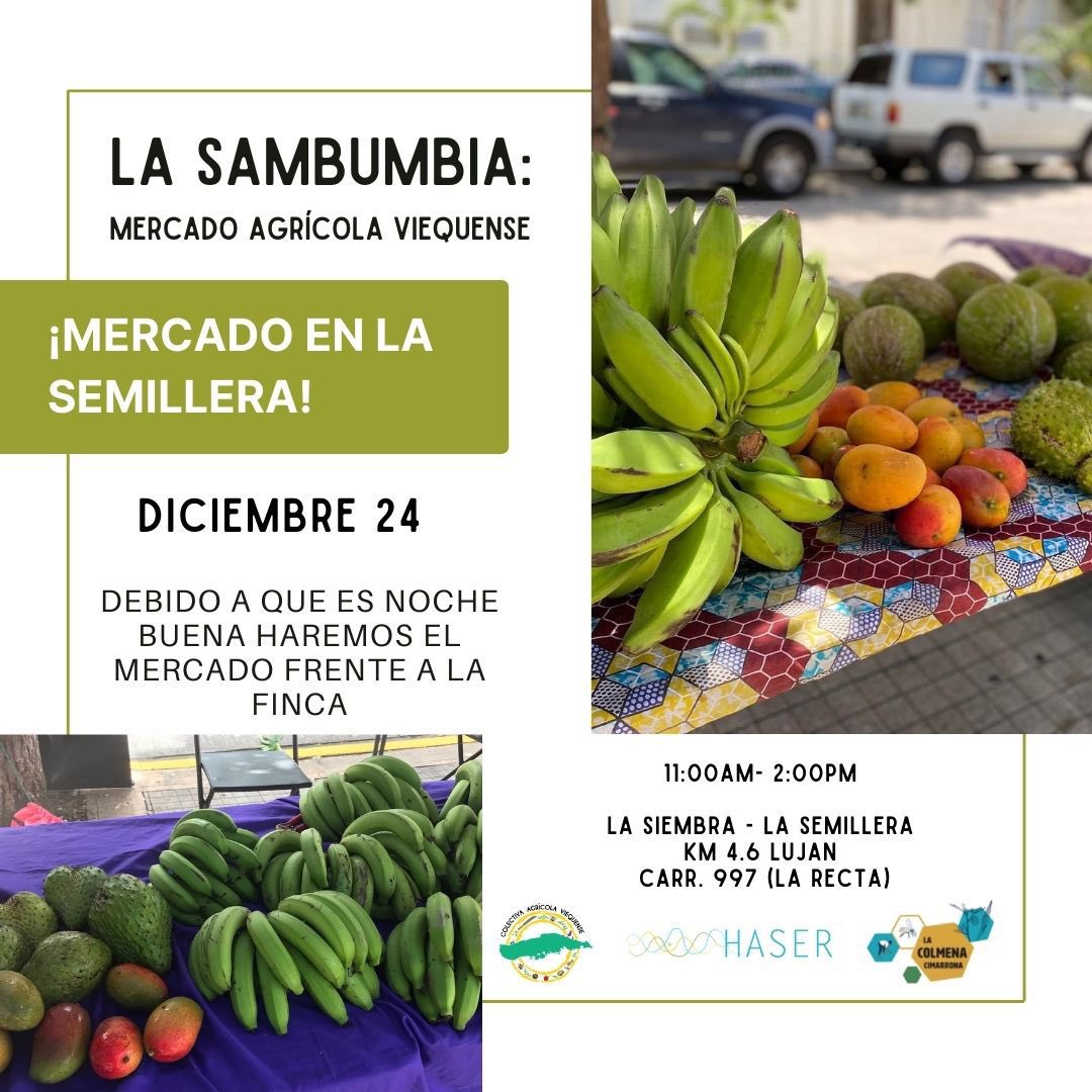 La Colmena Cimarrona tweet media