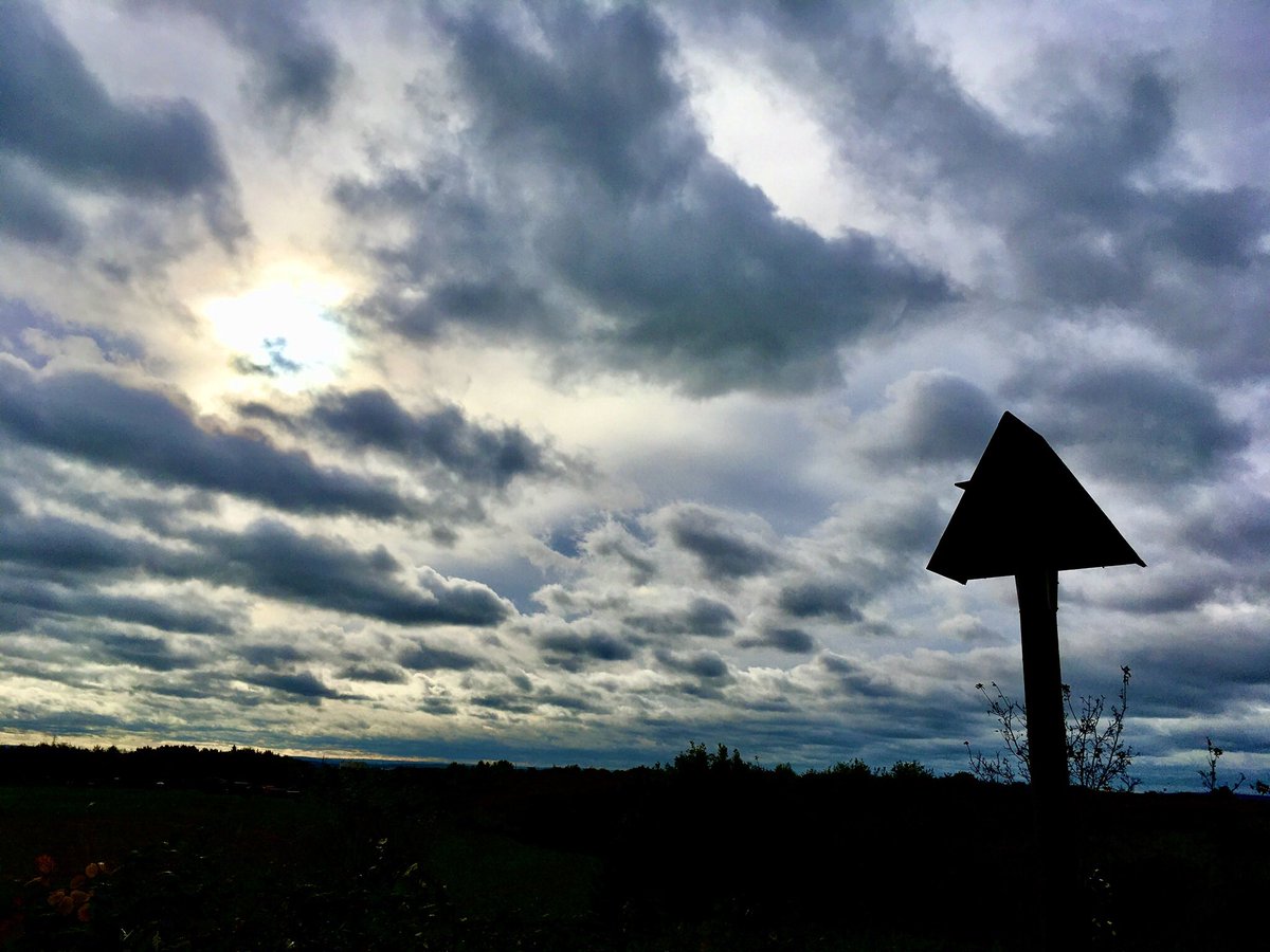 PinchesRetreat's tweet photo. First of two Barn owl nest boxes erected🦉🦉and in use 🤞Thanks to all involved 🤎 https://t.co/qwMtef9APD