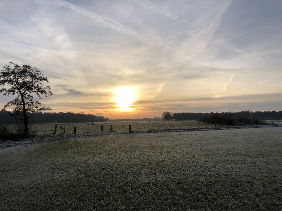 MichaelaPovel's tweet photo. Eerste vakantiedag! Heerlijk wandelen in de bevroren Achterhoek. https://t.co/CbWXDe56hD