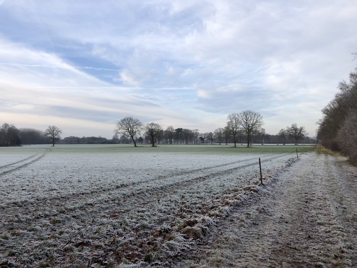 MichaelaPovel's tweet photo. Eerste vakantiedag! Heerlijk wandelen in de bevroren Achterhoek. https://t.co/CbWXDe56hD