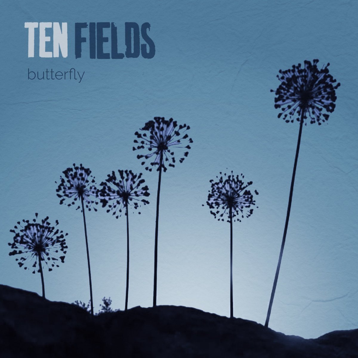 roadiemusicmag's tweet photo. Ouça agor o single "Butterfly" do Ten Fields

@thetenfields

https://t.co/IFO22b5Mfb

#popmusic #music #popmusicgroup #popmusician #popmusicstudios #popmusicstar #popmusica #popmusicacademy #musician #goodmusic #roadiemusic https://t.co/ewlbubGrbS