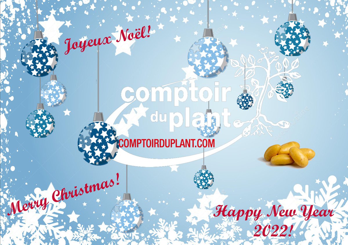 Toute l’équipe Comptoir du Plant vous souhaite de joyeuses fêtes de fin d’année.