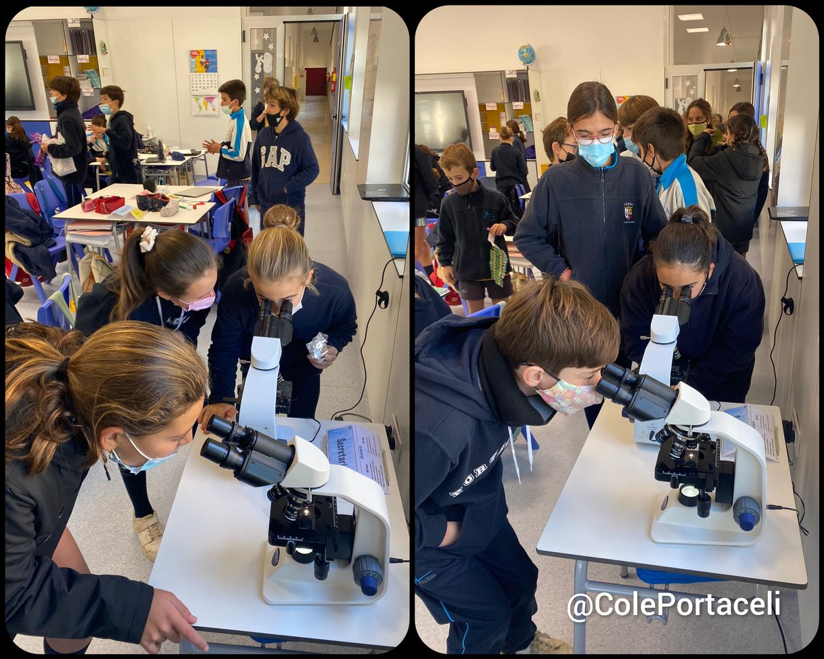 #Portaceli21 ¡Cuánto hemos aprendido este trimestre en ACL! Aquí viendo en el microscopio los estomas de la epidermis de las plantas 😊🌿