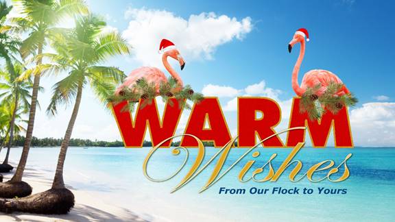 TPEffectiveness's tweet image. 